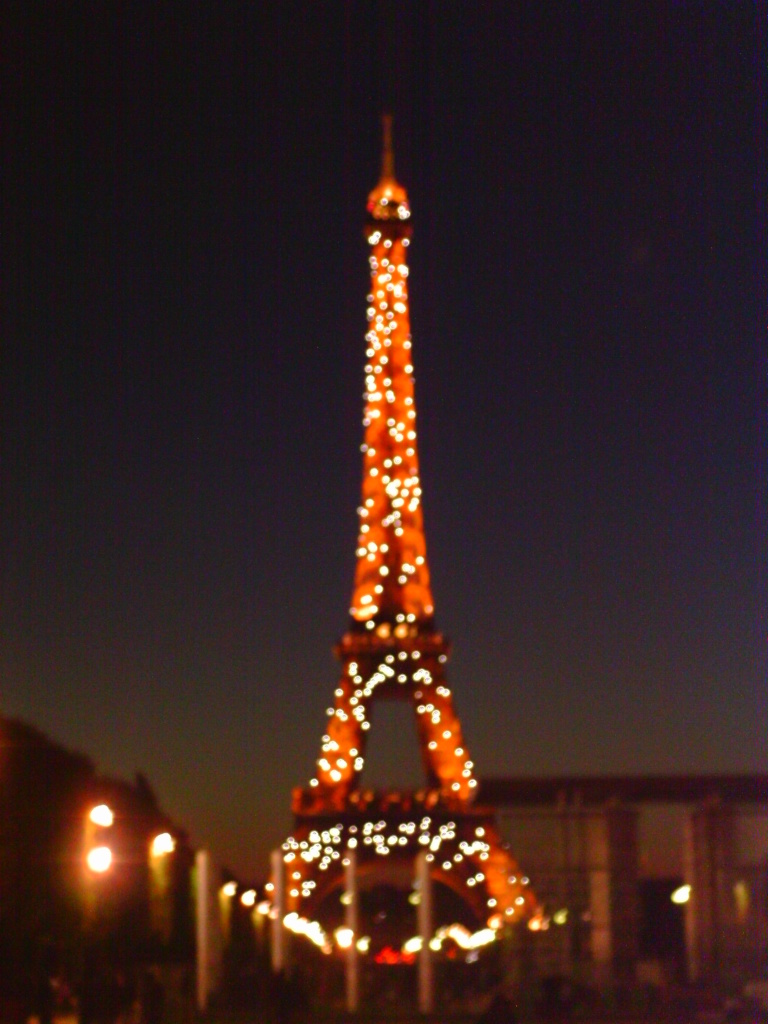 Paris thrills no matter how bad the film. Photo credit: L. Tripoli