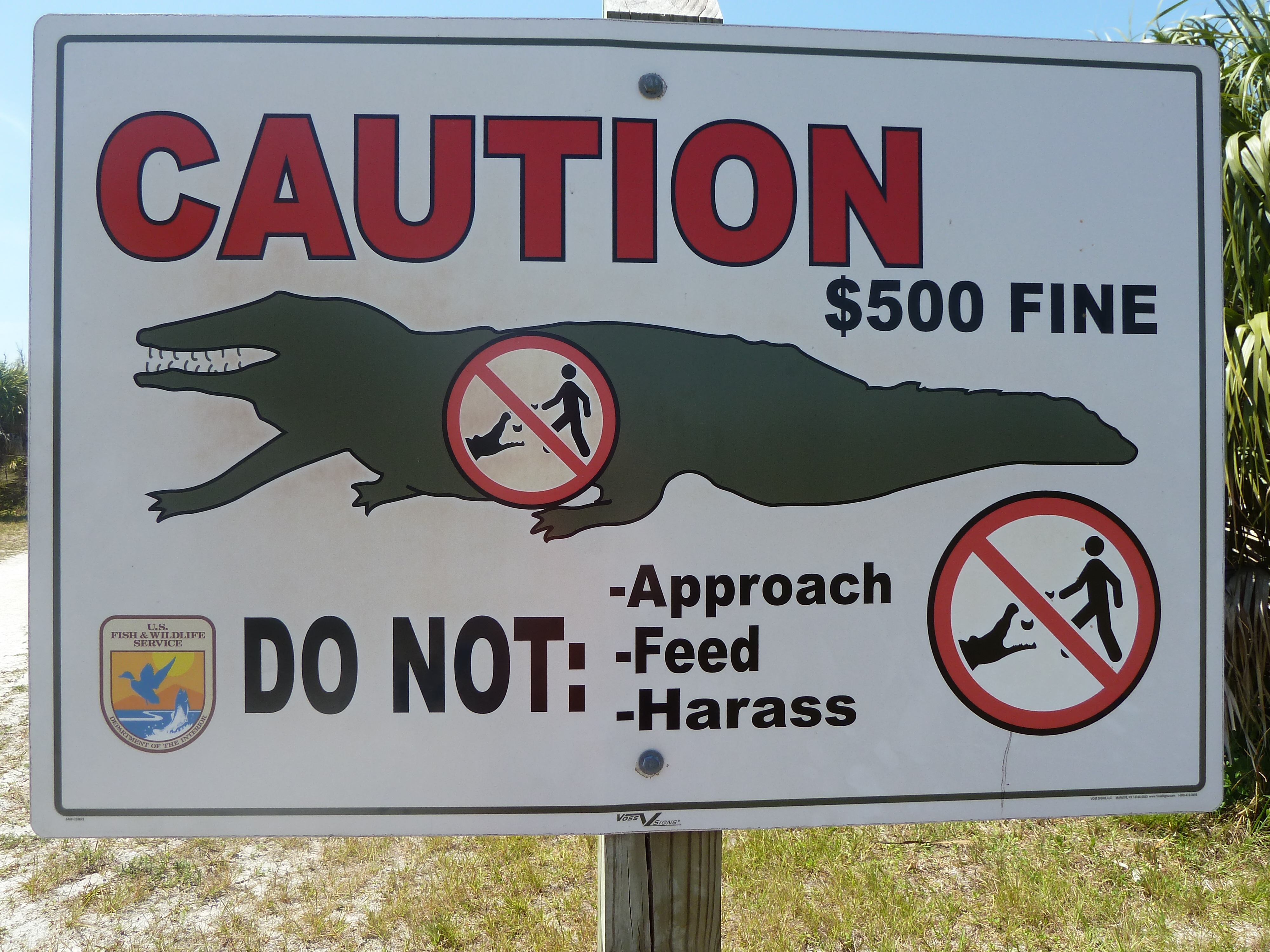 An alligator warning sign in Sanibel, Fla. Photo credit: M. Ciavardini