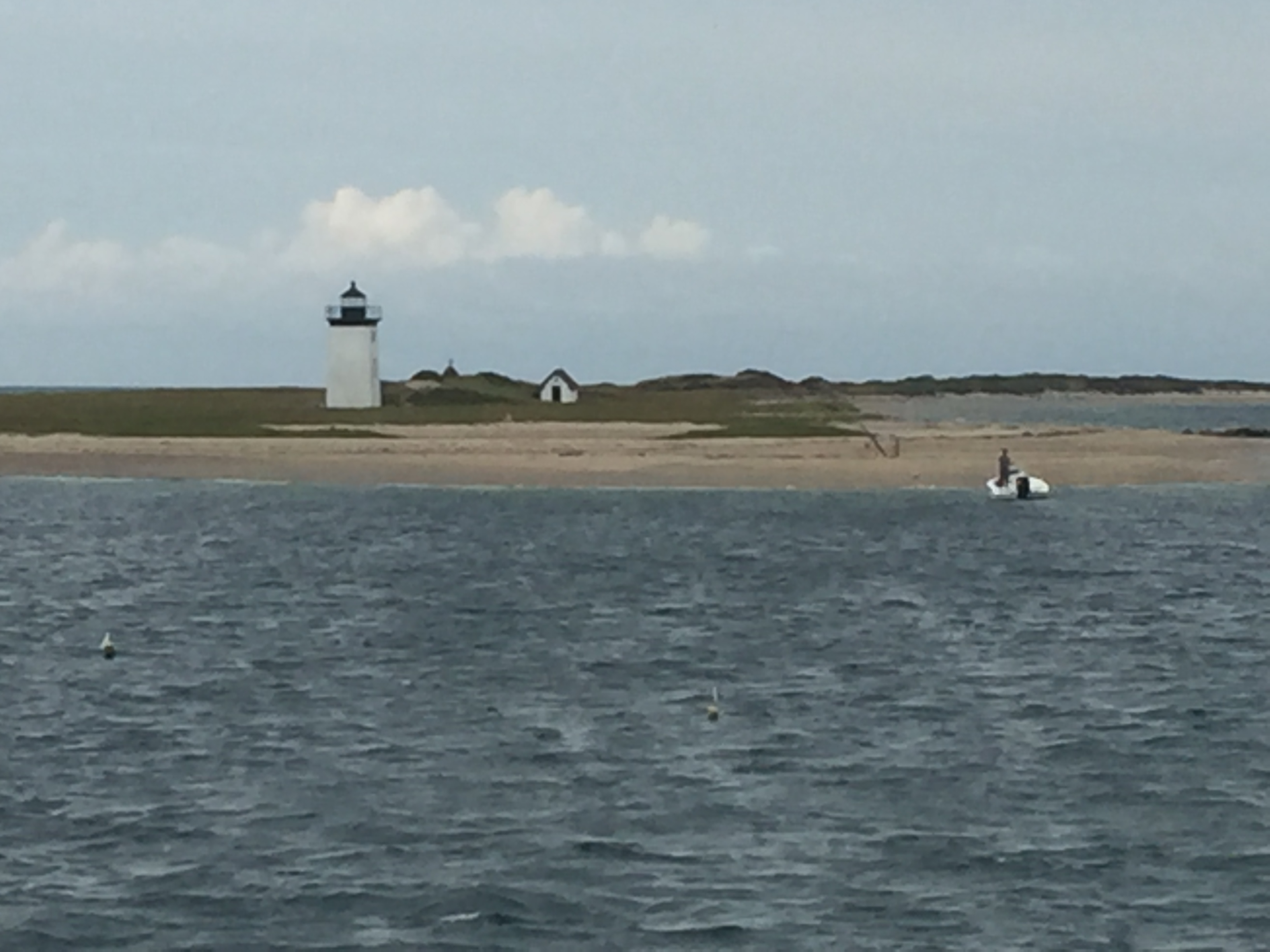 How long before we see the whales? Cape Cod, Mass. Photo credit: M. Ciavardini