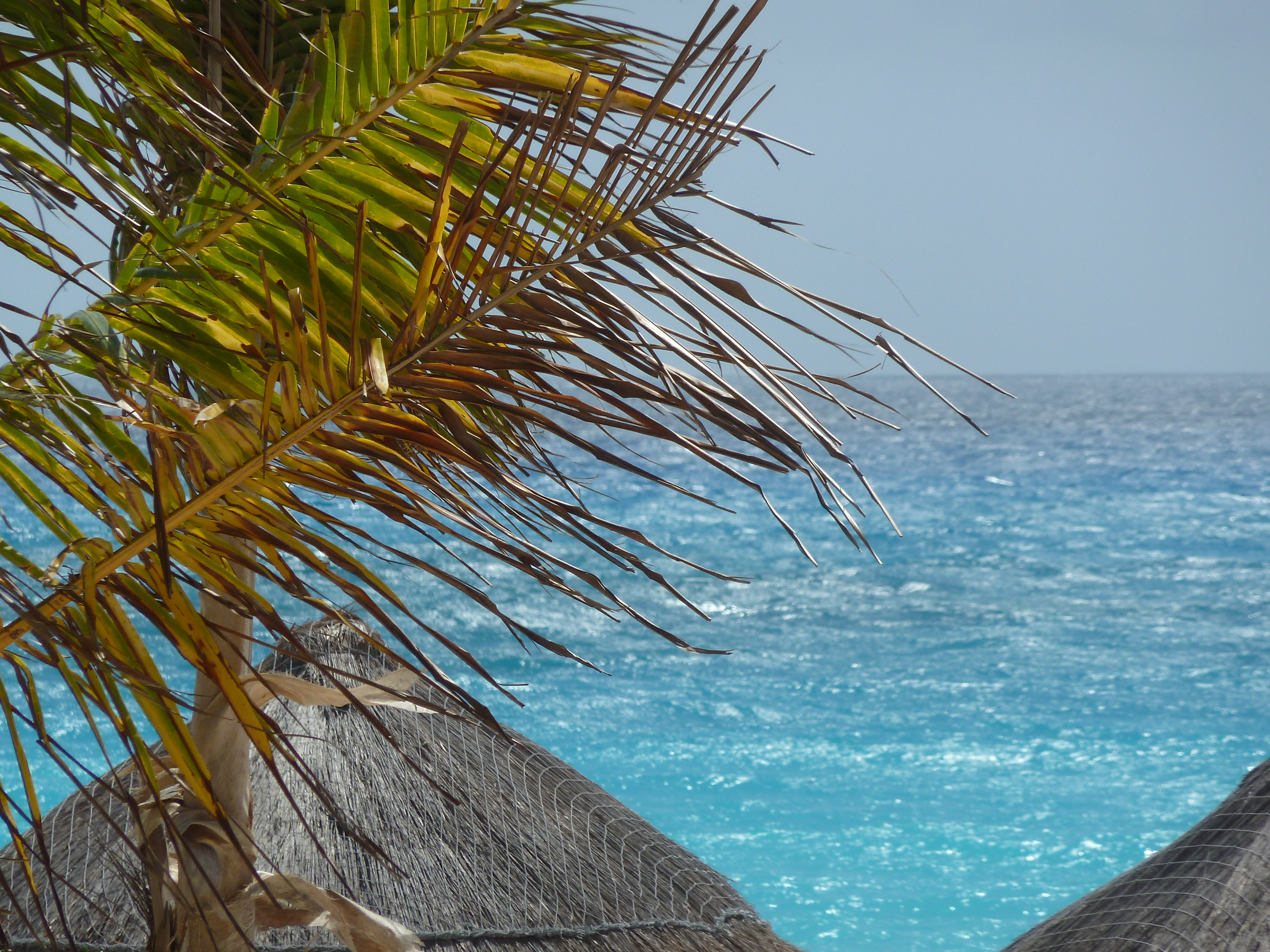 Cancun-blue.jpg