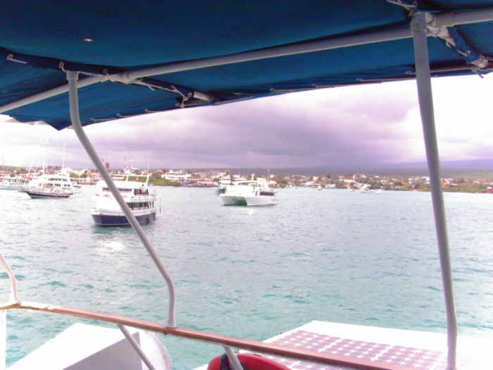 A view of water, other boats, and land from aboard the Eric, which features solar panels. Photo credit: L. Tripoli.