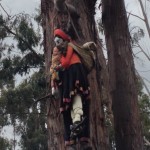 Figures suspended from a tree in Cusco, Peru Photo credit: M. Ciavardini
