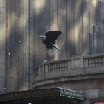 Grand Central eagle
