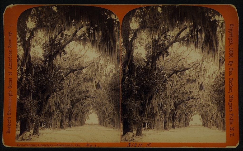 An old stereograph of Bonaventure Cemetery in Savannah, Ga. Photo credit: •Stereograph in the archives of the U.S. Library of Congress.