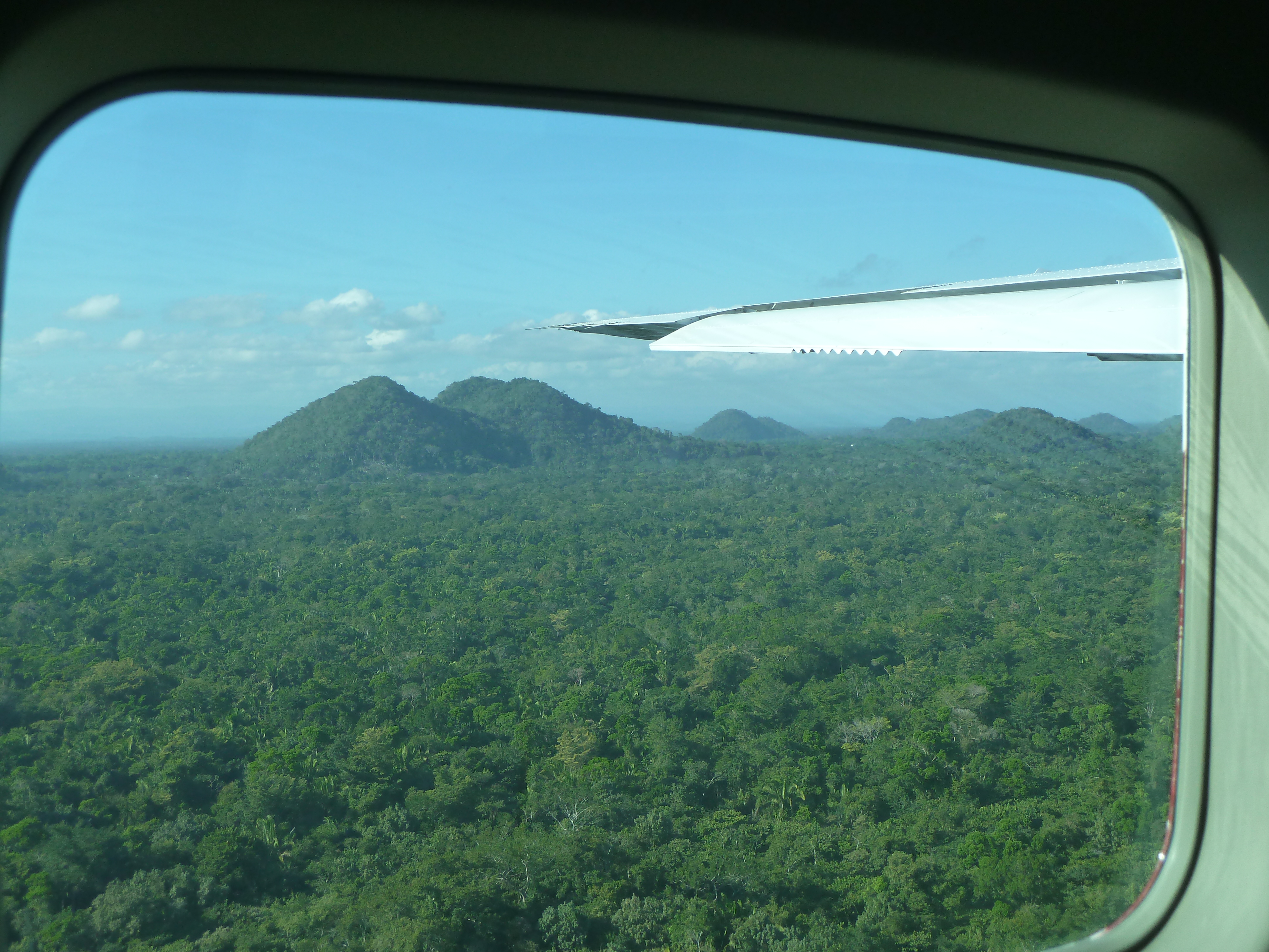 Belize jungle mountain.jpg