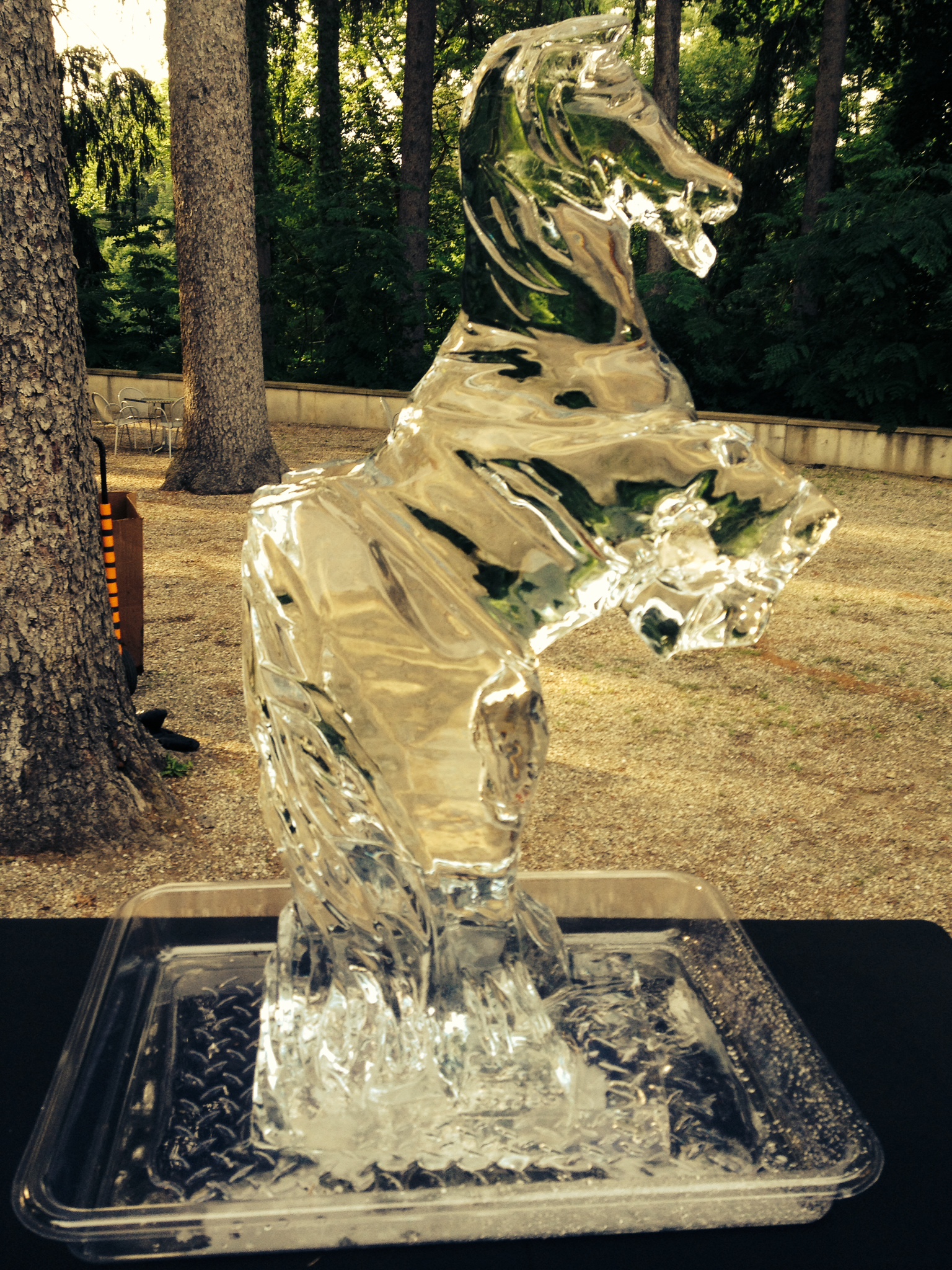 katonah-museum-of-art-ice-horse.jpg
