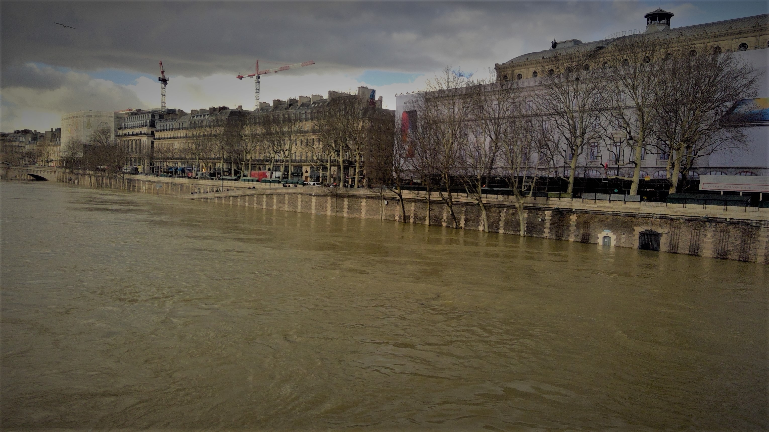 Seine rising.jpg